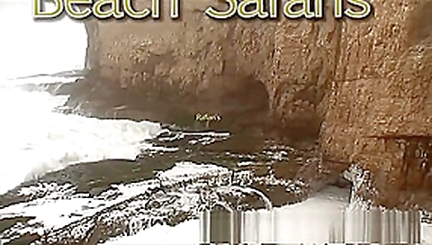 Rafians Beach Safaris 24 Rafians Beach Safaris 24