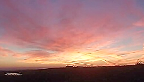 beach safaris sex HD 14