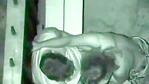 en la oscuridad 8 en la oscuridad 8