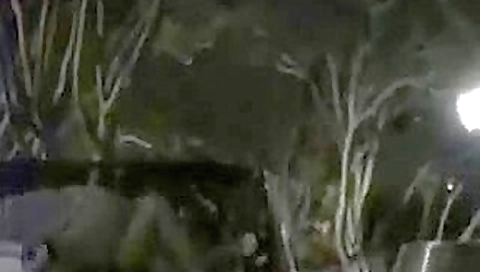 en la playa 02 en la playa 02